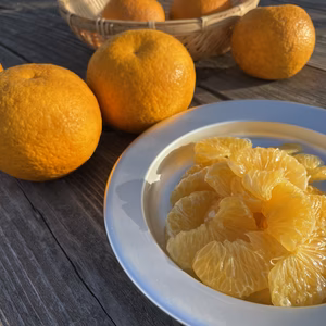 【日高川町のさつき八朔】和歌山県住みます芸人わんだーらんどが育てました