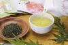 深蒸し「やぶきた茶」100g×10袋【農薬：栽培期間中不使用】