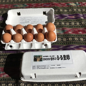 【加熱調理用】初回限定！送料分割引！放し飼いの鶏が産んだ卵２０個入りお試しセット