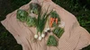 【旬の野菜8品セット】大山クロボク育ち【5～8種類】