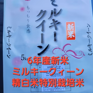 新米6年産ミルキークイーン北海道、沖縄はごめんなさい。