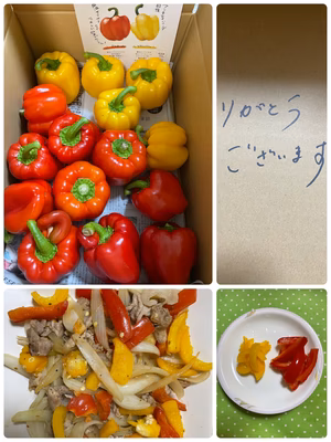 みんなの投稿の画像