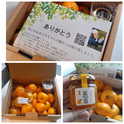 みんなの投稿の画像