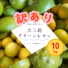 訳あり果汁用　大三島グリーンレモン【ワックス・防腐剤フリー•瀬戸内レモン】