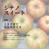 【シナノスイート(大きすぎて規格外の大玉サイズ)】特別栽培/ネオニコ不使用