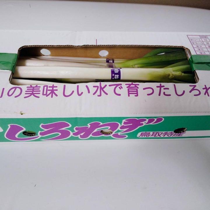 鳥取県産】白ネギ 3kg LL20本 L30本 M40本 ねぎ ランダム10k｜野菜の