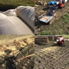 農薬・化学肥料・動物由来堆肥不使用  はざかけ米コシヒカリ