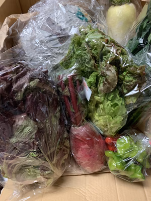 みんなの投稿の画像