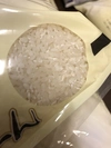 ミルキークイーン 無洗米 10kg
