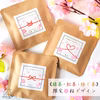【選べるお茶10P】名入れ＆メッセージ★オリジナル プチギフト《限定・桜デザイン