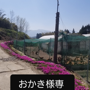 おかき様専用です。