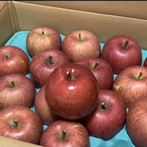 青森県産りんご