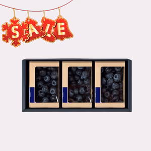 ☆セール中☆【冬の国産生ブルーベリー】100g×3pc〈トヨヒルセット【C】〉