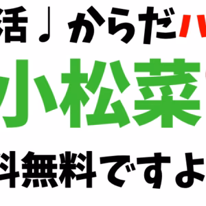 【お試し・送料無料】からだにありがとう！みどりの力、小松菜。スムージーなどに