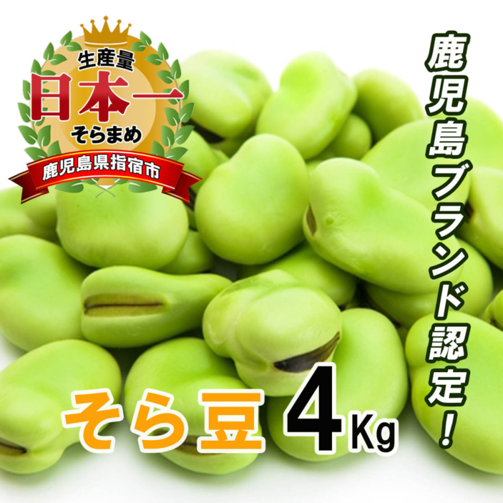 鹿児島県指宿市産 さや付きそら豆Lサイズ 4K｜野菜の商品詳細