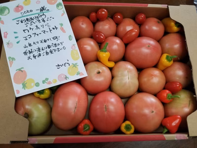 みんなの投稿の画像