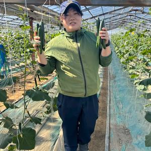 【クール配送/訳あり】5㎏（25〜30本）味や実入りはA級品／朝どれ新鮮きゅうり