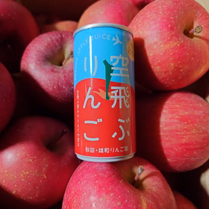☆空飛ぶ夢みたりんごの甘さ☆りんごジュース（30本入り）