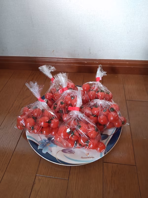 みんなの投稿の画像