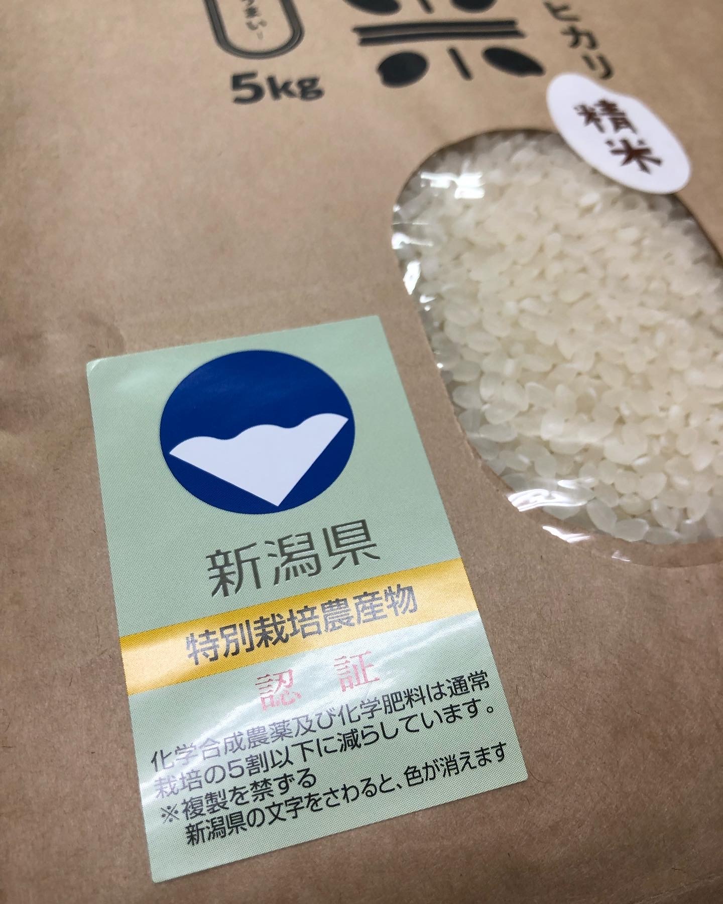 令和6年新米！特別栽培米 新潟県五泉産コシヒカリ「南郷米」玄米