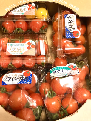 みんなの投稿の画像