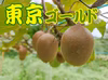 体が喜ぶ♬自然農法　Vitalキウイフルーツ 3種（小玉）お試し食べ比べセット