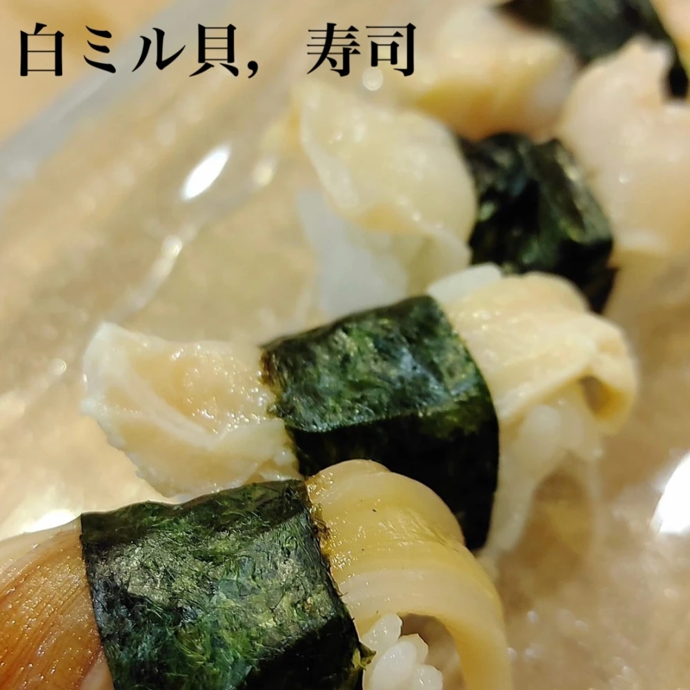 【日間賀島漁師直送】今が旬 高級貝 【白ミル貝】活かし発送❗️