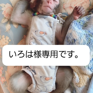 いろは様専用です。