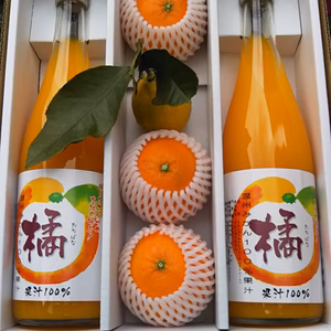 有機栽培のみかんジュース2本（春みかん3個付）