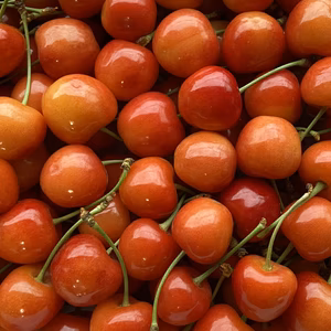 【緊急】本日発送！お得 さくらんぼ 紅秀峰 家庭用 500g箱 