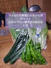 マメな中西農園の季節の京野菜詰め合わせセット。農カード付き