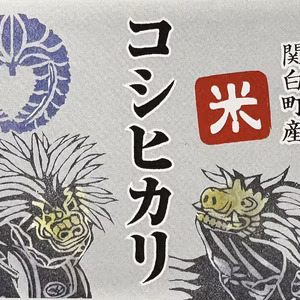 新米コシヒカリ令和7年産 玄米１０ｋｇ