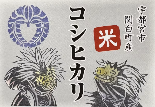 新米コシヒカリ令和7年産 玄米１０ｋｇ