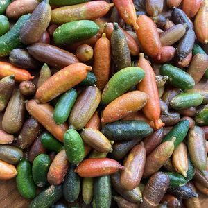 フィンガーライム詰め合わせ1kg