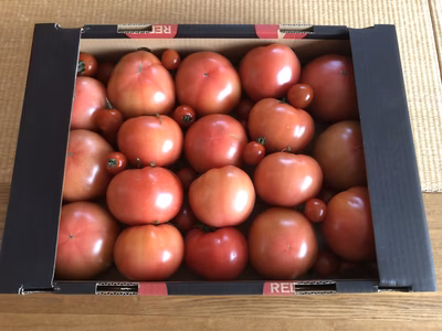 みんなの投稿の画像