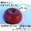 【訳あり】【春待ちりんご9kg】可愛いサイズ