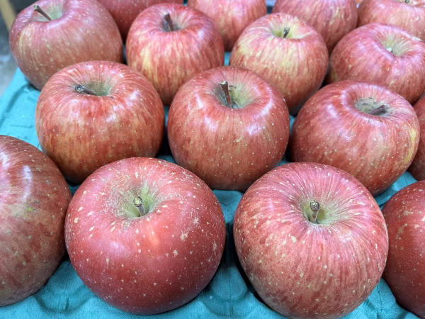 サンふじ【ちょっとした訳あり！絶対お買い得！】5キロ