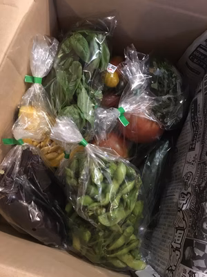 みんなの投稿の画像