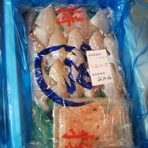 イチマン❗カワハギ君&ワタリカニさん