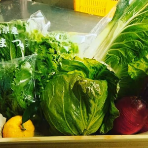 内山農園旬の野菜セット