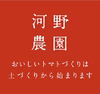 ●採れたて直送●旨みを味わい尽くす！【生きた土】が育んだ元気でおいしいミニトマト