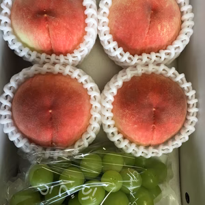 温室シャインマスカット　桃　セット　＊ギフト お中元　