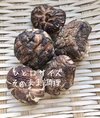 天然原木栽培　スライス干し椎茸100g 2袋＋おまけ丸干し椎茸15gプレゼント