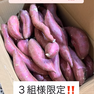 新芋シルクスイート C品(訳あり)✨5kg箱 ３組限定‼️