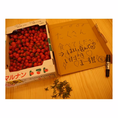 みんなの投稿の画像