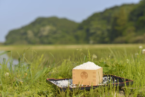 fuku farm nikkoのコシヒカリ