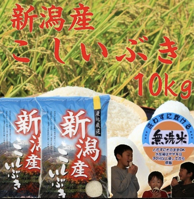 [新米]  新潟県産　こしいぶき10ｋｇ（無洗米）　令和5年産