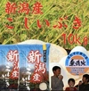 [新米]  新潟県産　こしいぶき10ｋｇ（無洗米）　令和5年産