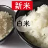 R4産 特栽【化学肥料ゼロ】駒義 まっしぐら(精白米)