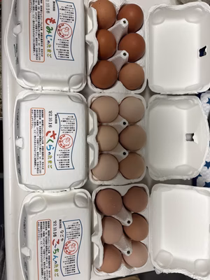 みんなの投稿の画像